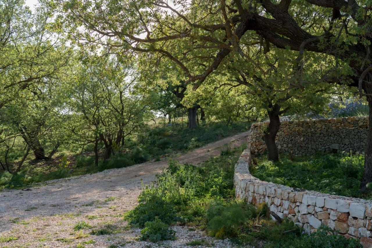 Donnapaola Modern Farm Villa Altamura Kültér fotó